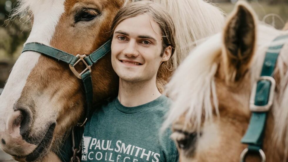 dana and dodge are the 2 celebrity draft horses at paul smith's college