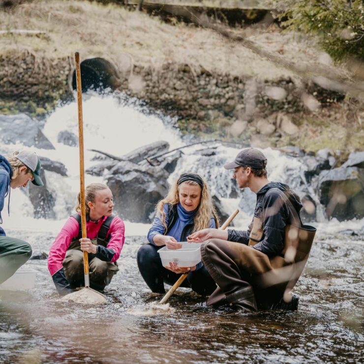 adirondack watershed institute