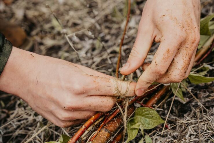 closeup of two hands tying a bundle of sticks on the ground