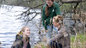 Ecological Restoration