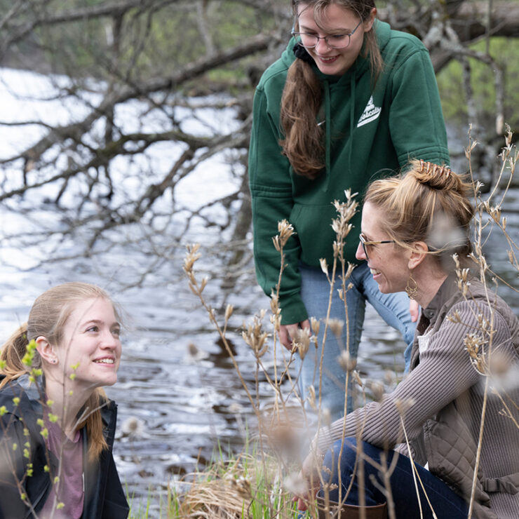 Ecological Restoration