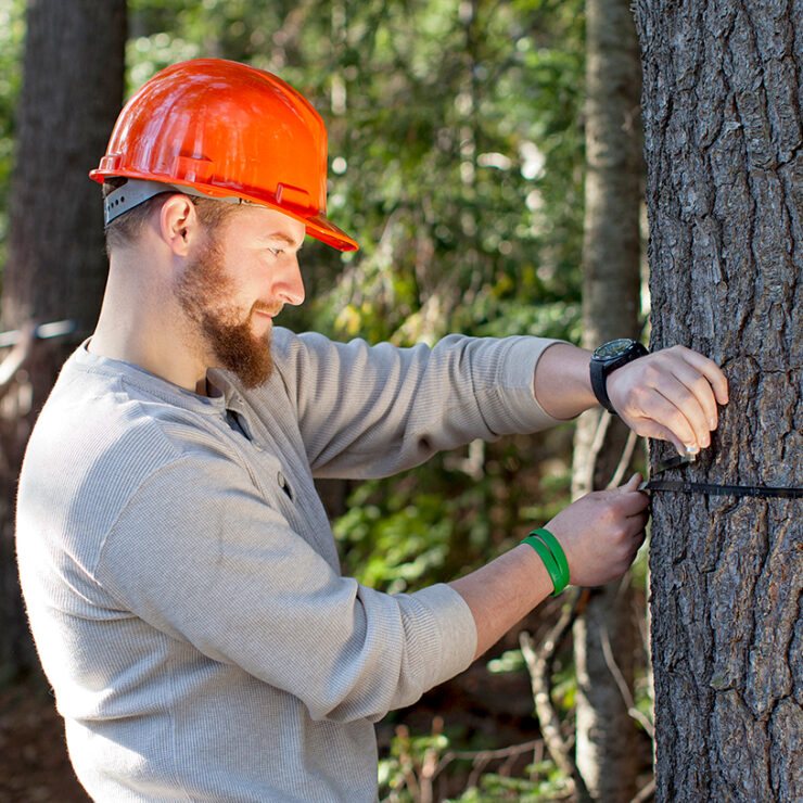 Forest Technology