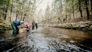 Environmental Sciences