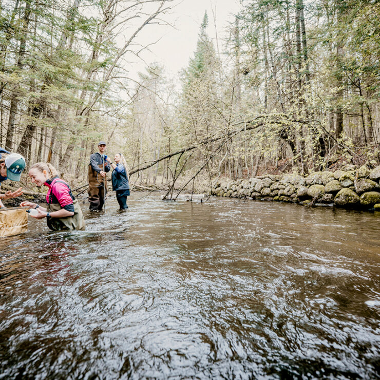 Environmental Sciences