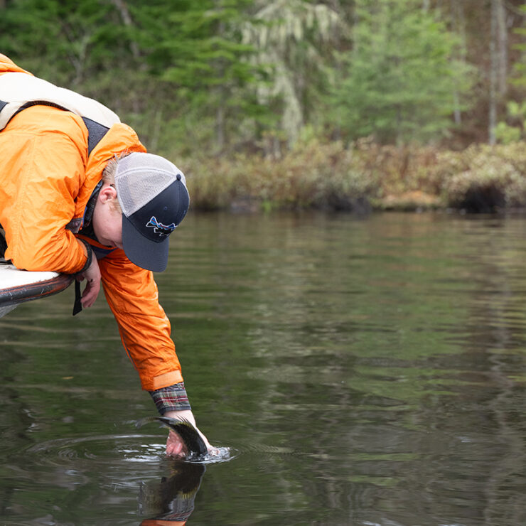 Fisheries & Wildlife Sciences