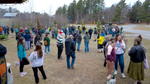 crowd at gazebo lighting