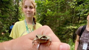 adirondack field ecology