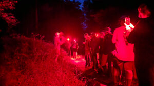 adirondack field ecology night